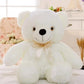 Lumineux Ours en peluche - Enfance-Heureuse