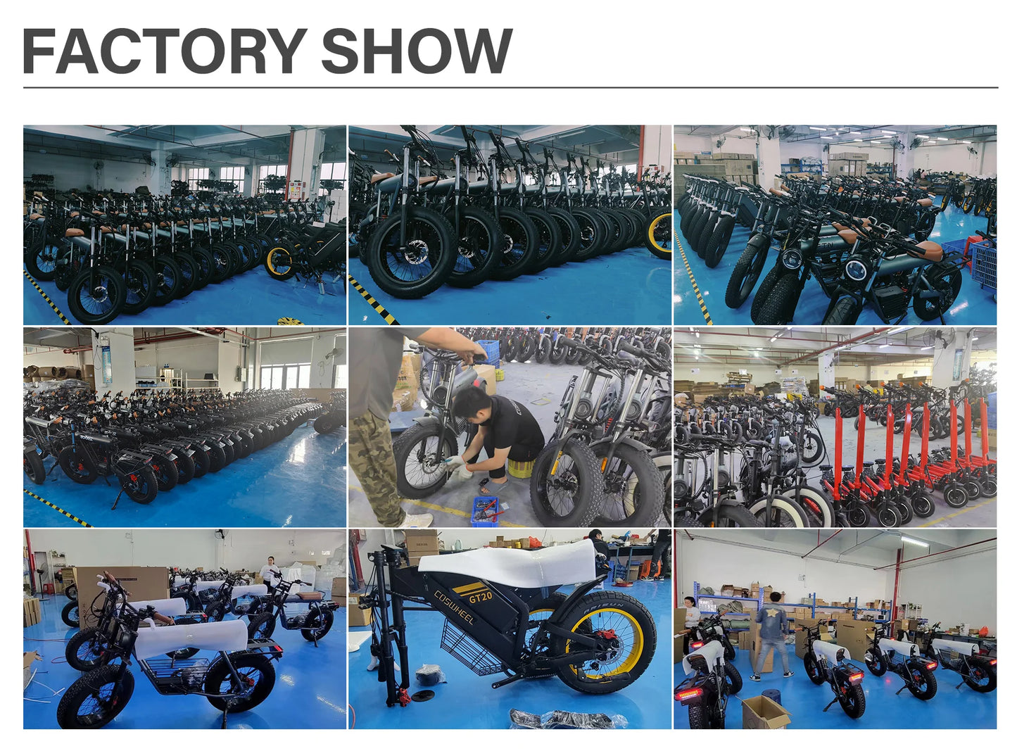 Coswheel Ebike GT20 Adult Electric Motorcycle Mountain Bikes 20Inch 48V Electric bike Fatbike Adult Motorcycles Drit bike