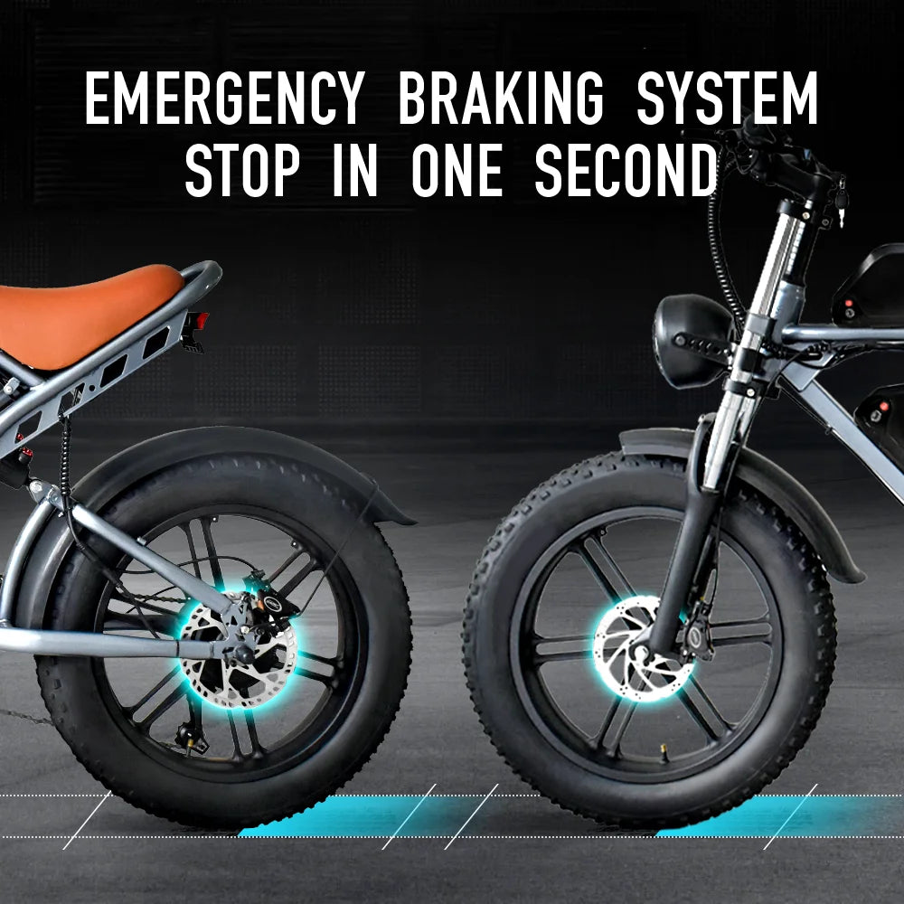 DEEPOWER S7Pro Electric Bike for Adults, 48V, 60Ah,Dual Battery, 20''x4.0 Fat Tires,Snow Mountain E-Bike, 2000W Electric Bicycle - Enfance-Heureuse
