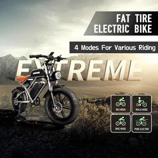 DEEPOWER S7Pro Electric Bike for Adults, 48V, 60Ah,Dual Battery, 20''x4.0 Fat Tires,Snow Mountain E-Bike, 2000W Electric Bicycle - Enfance-Heureuse