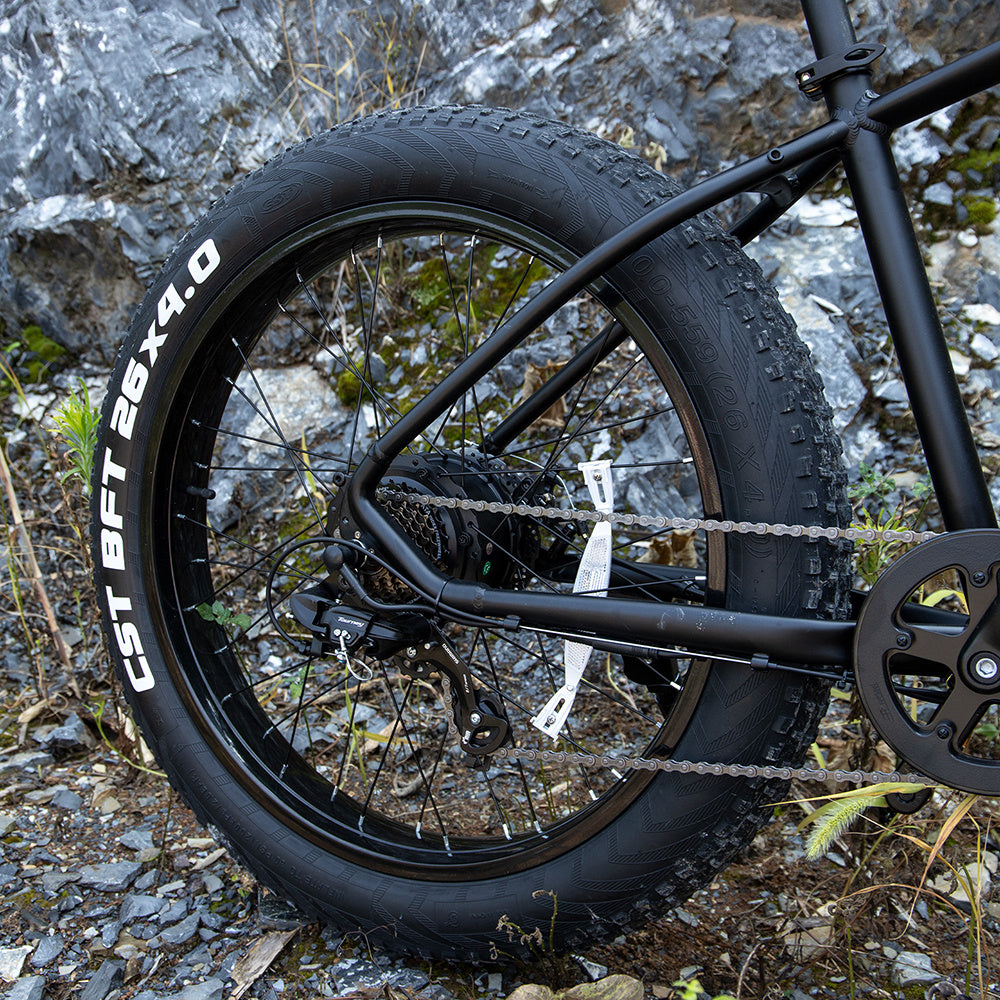 Professional Electric Bike For Adults, 26 X 4.0 Inches Fat Tire Electric Mountain Bicycle, 1000W Motor 48V 15Ah Ebike For Trail Riding, Excursion And Commute, UL And GCC Certified - Enfance-Heureuse